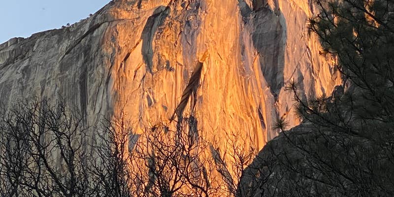 Camper submitted image from AutoCamp Yosemite