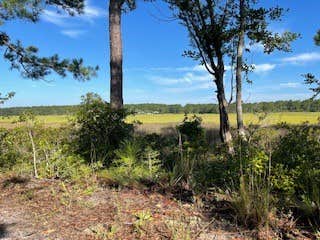 Camper submitted image from Sawgrass Dunes at Holden Beach - Sandy Marshfront lot only 6 miles to the beach - 1