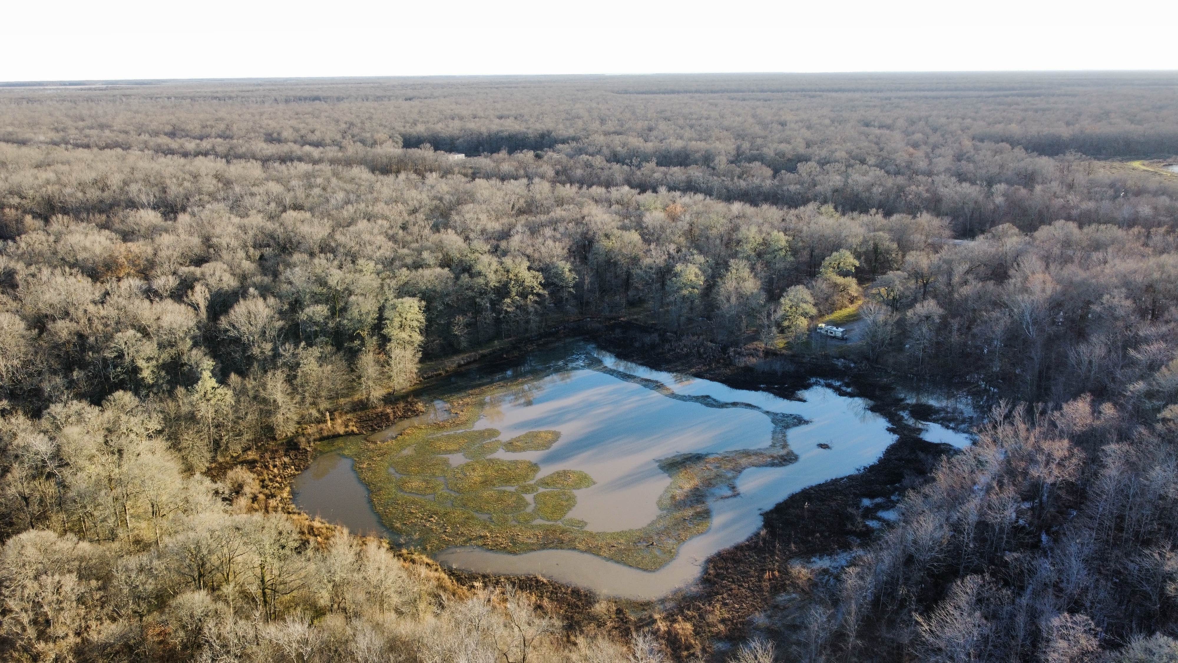 Eric G.'s photo of a dispersed camping area at Russell Sage Wildlife Management Area near West Monroe, LA