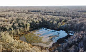 Eric G.'s photo of a dispersed camping area at Russell Sage Wildlife Management Area in Louisiana