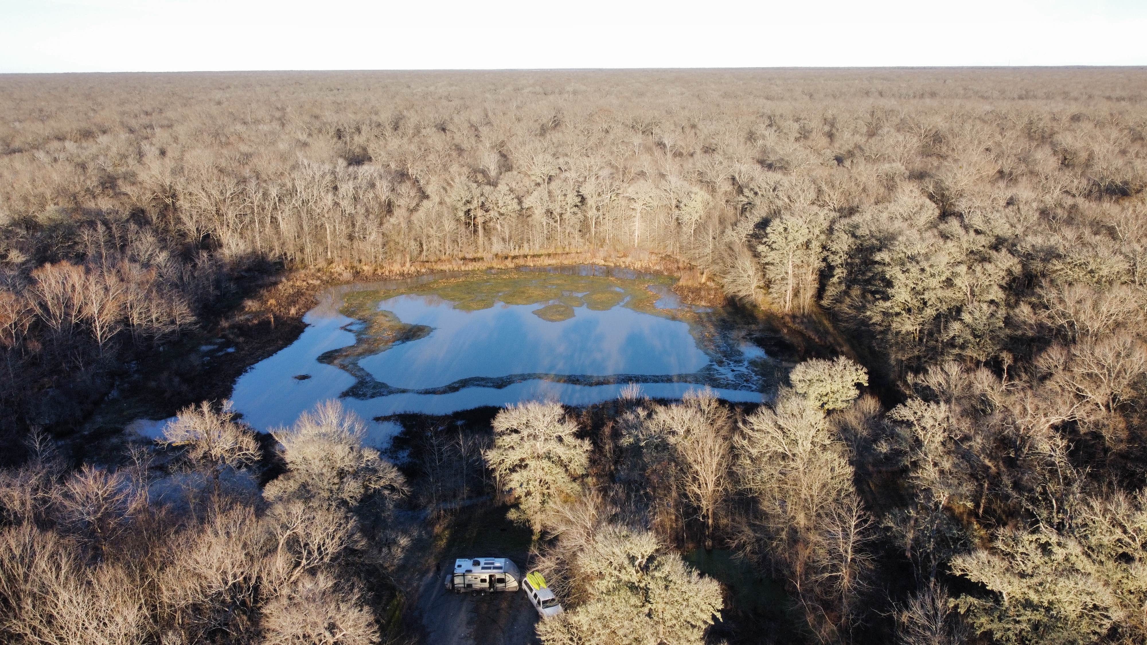 Camper-submitted photo at Russell Sage Wildlife Management Area near West Monroe, LA
