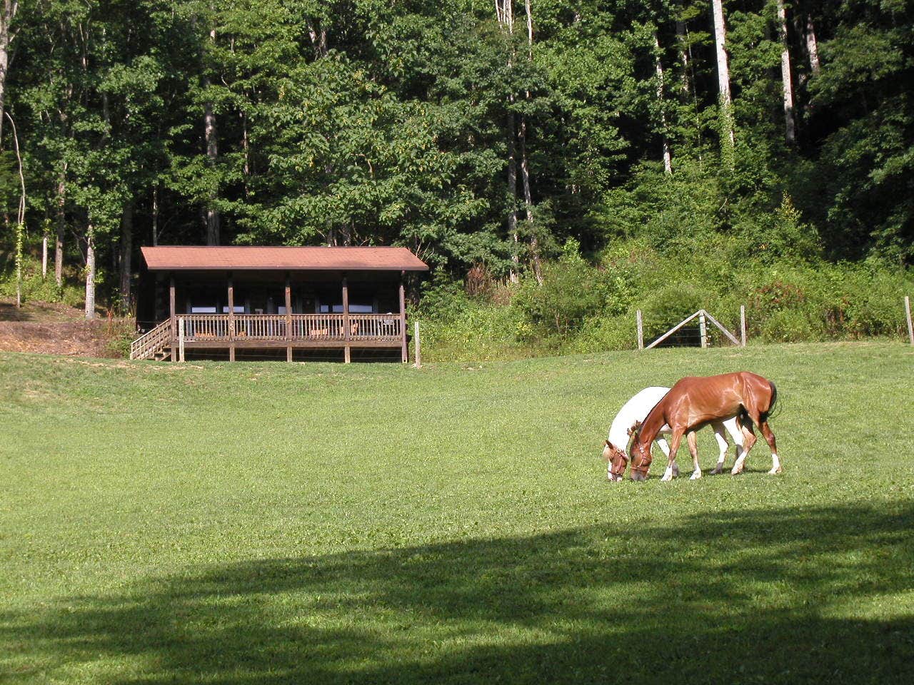 Camper submitted image from Turkey Creek Cove Cabins - 2