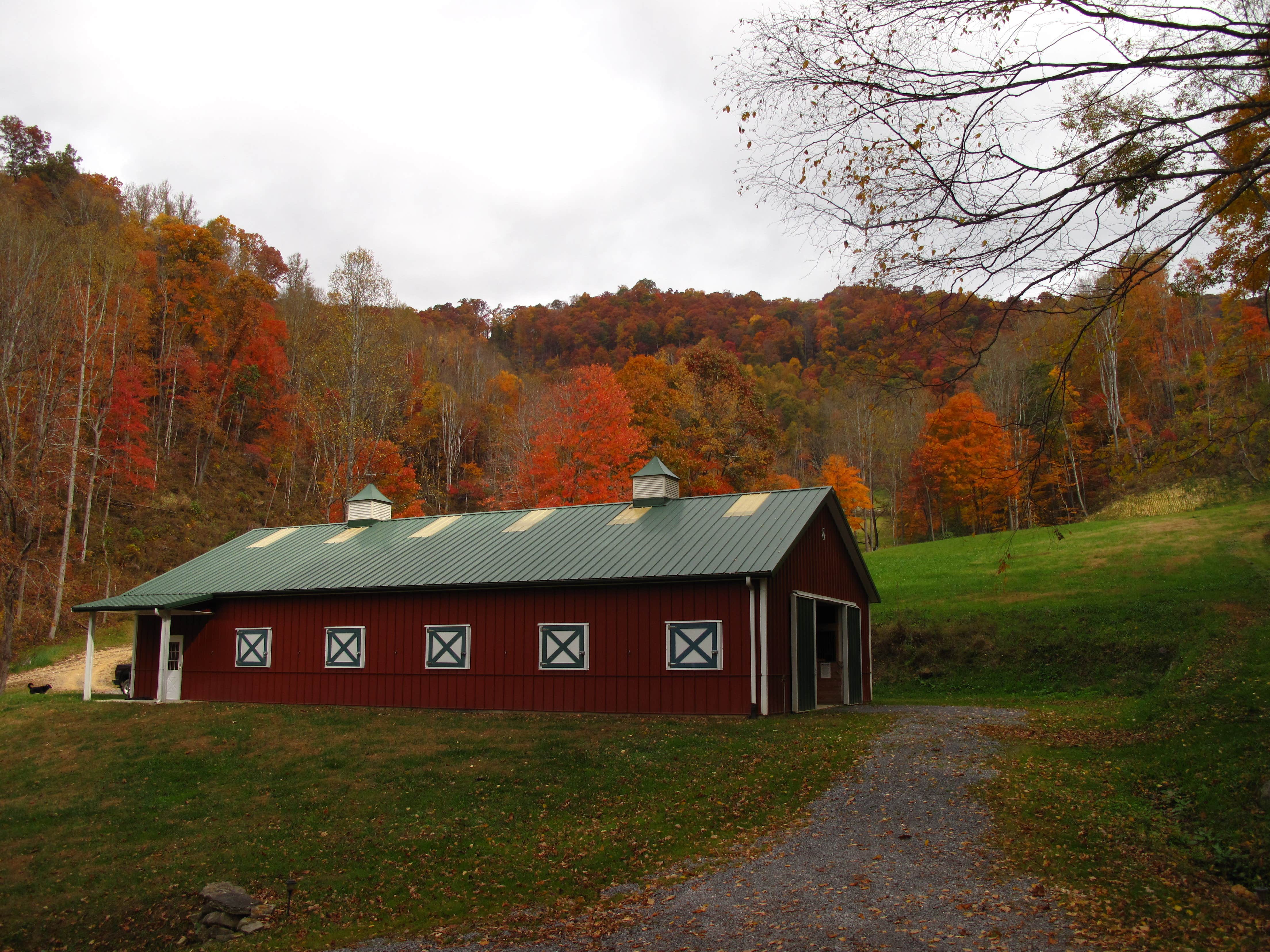 Aaron S.'s photo of camping with pets at Turkey Creek Cove Cabins near Canton, NC