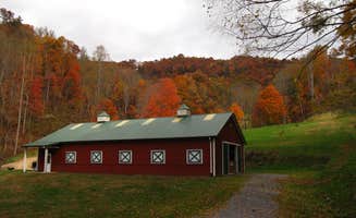 Aaron S.'s photo of camping with pets at Turkey Creek Cove Cabins near Lake Junaluska, NC