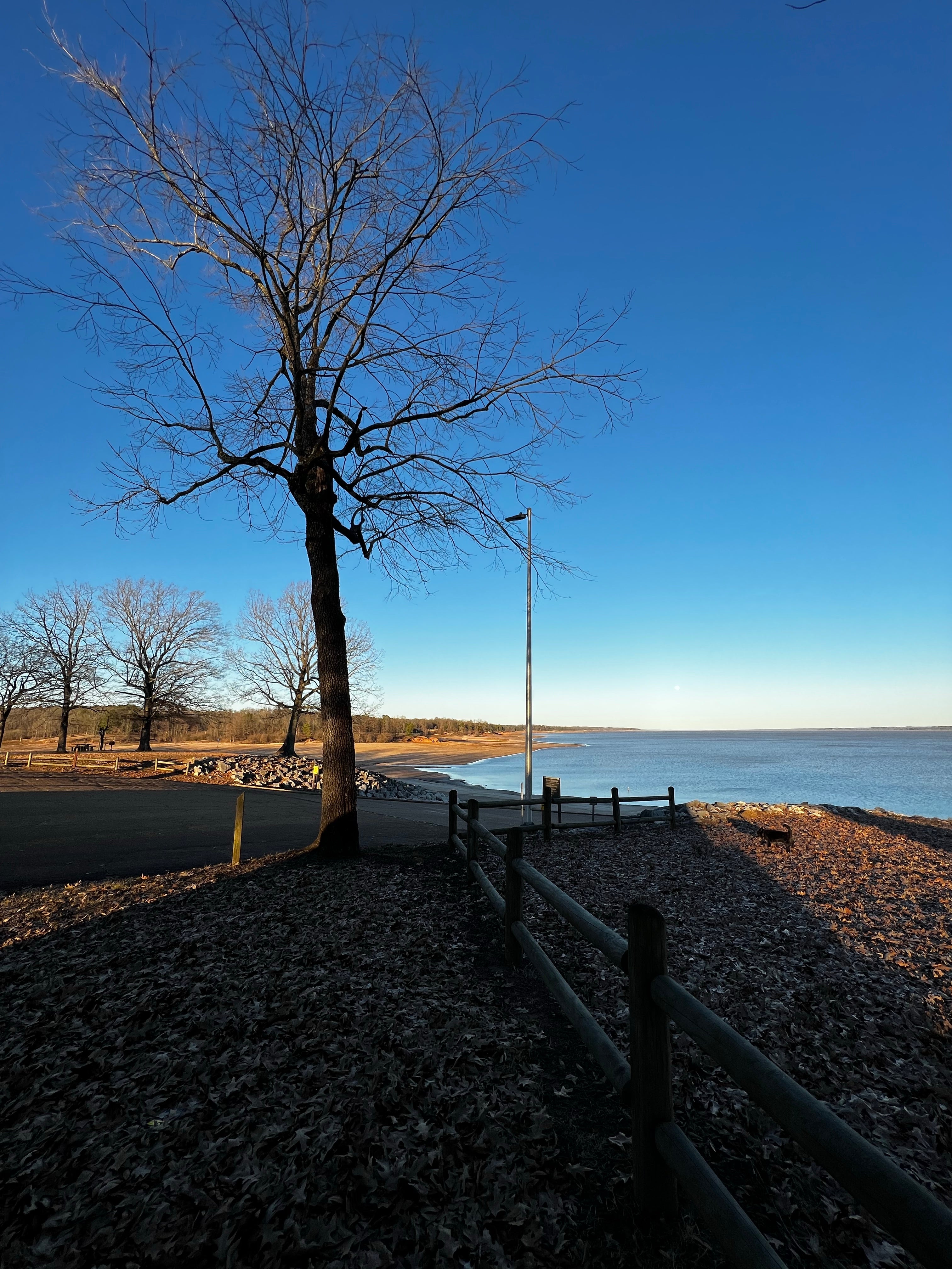 Camper submitted image from Beach Point - Sardis Lake - 4