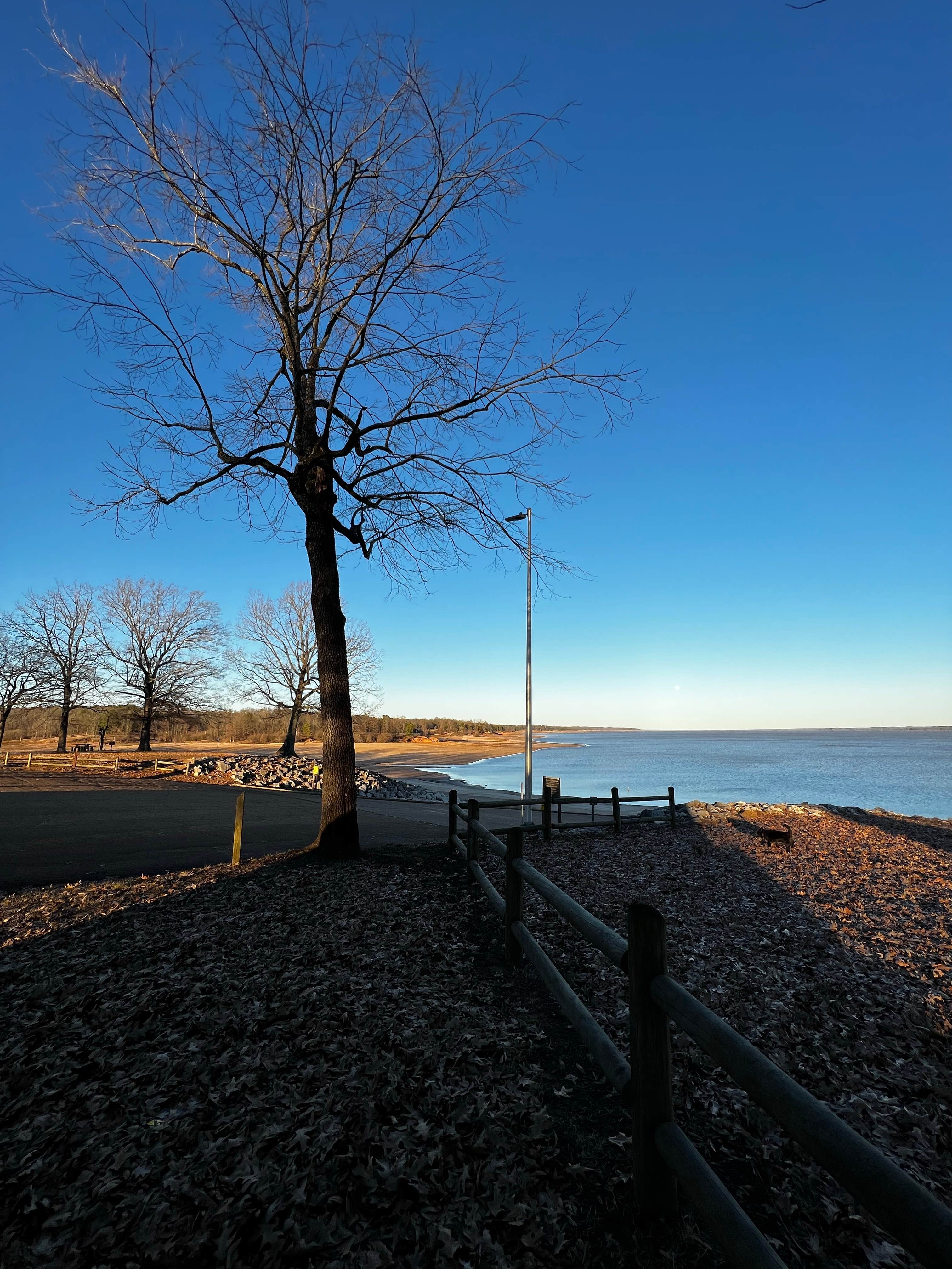 Beach Point Sardis Lake Camping Sardis Ms