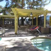 Review photo of Las Vegas KOA Journey at Sam's Town by Colette K., August 23, 2018