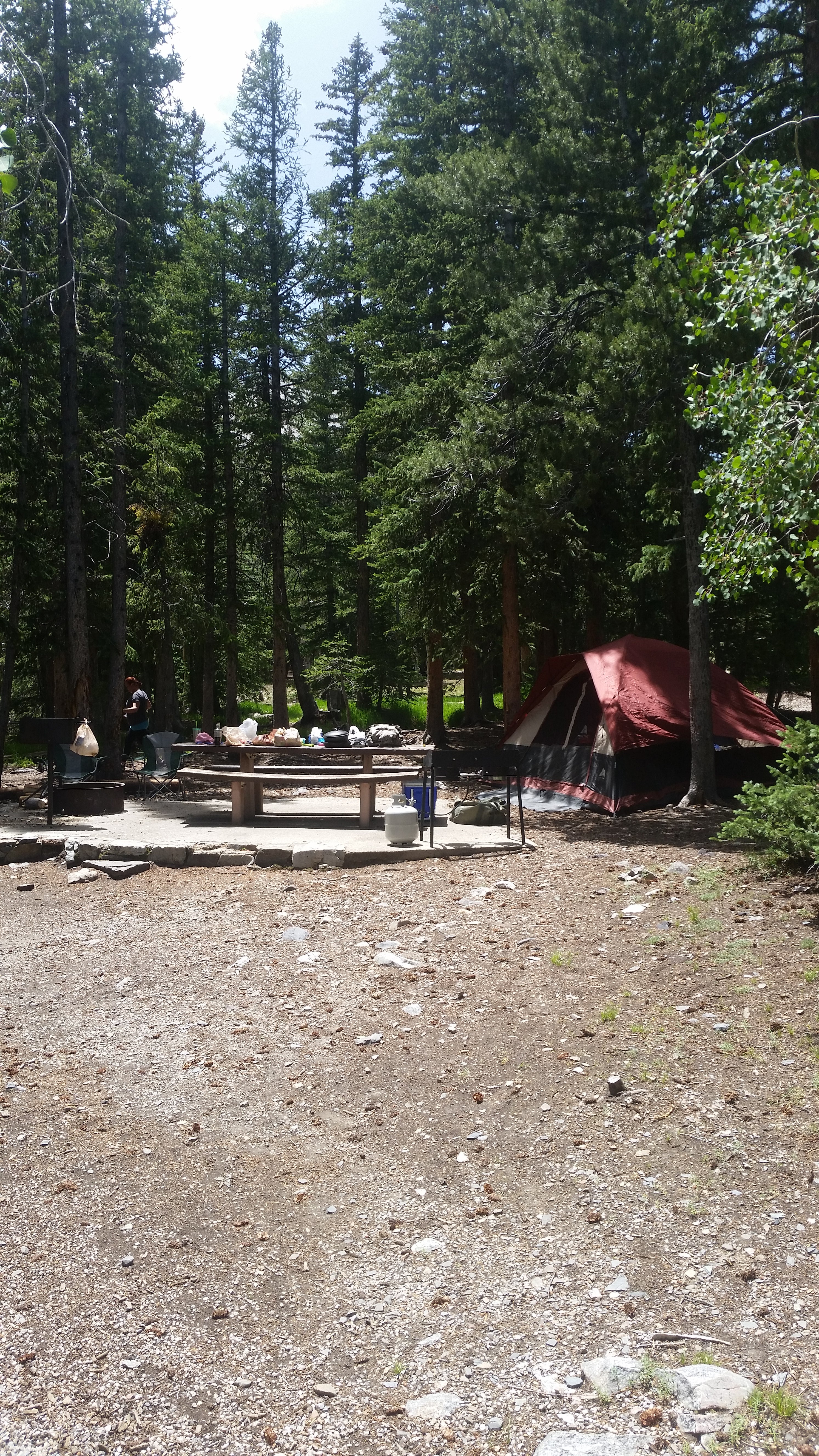 Camper submitted image from Wheeler Peak Campground — Great Basin National Park - 3