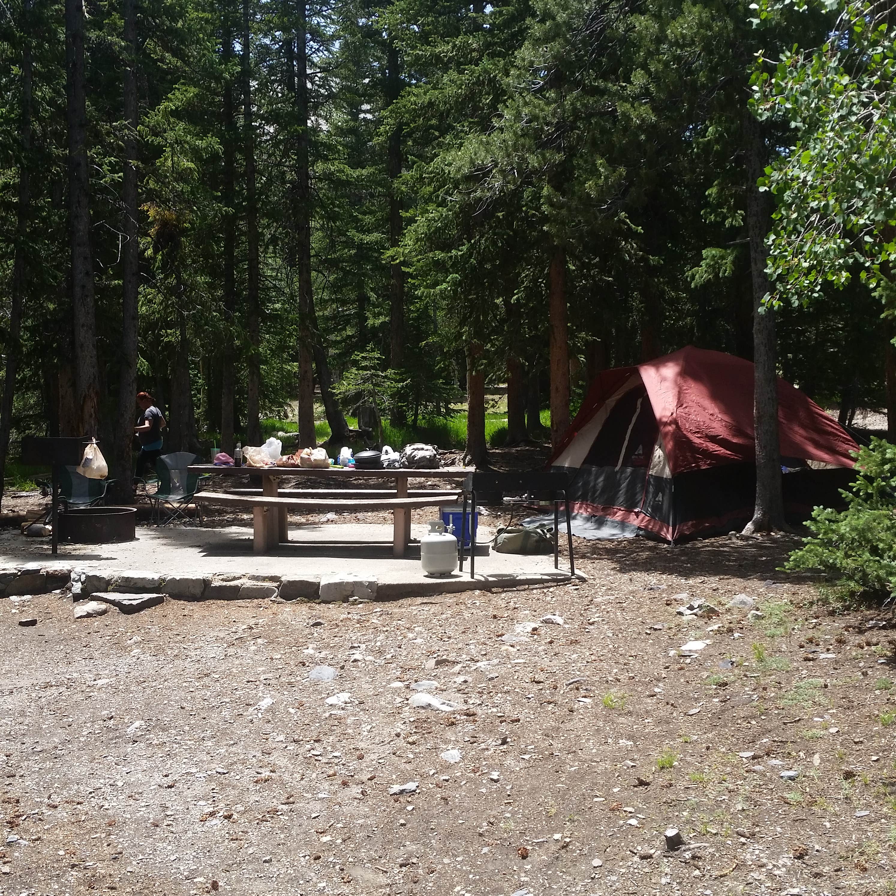 Escape to the Stars: Unveiling the Magic of Wheeler Peak Campground