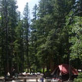 Review photo of Wheeler Peak Campground — Great Basin National Park by Tom R., August 11, 2016