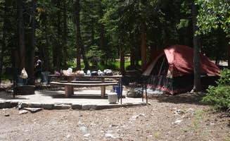 Tom R.'s photo at Wheeler Peak Campground — Great Basin National Park in Nevada