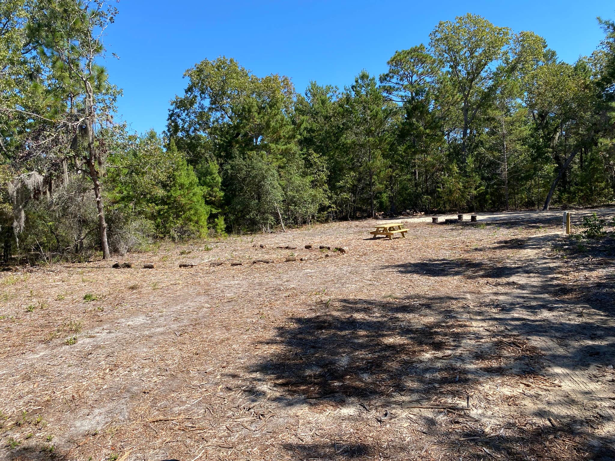Camper-submitted photo at Seagrass Hideaway near Wacissa, FL