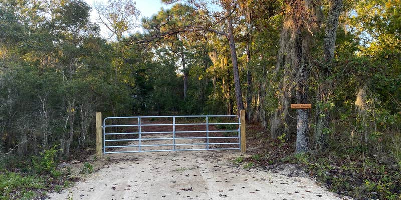 Camper submitted image from Seagrass Hideaway