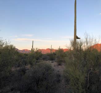 Camper-submitted photo from Desert Trails RV Park - Adult-only Resort