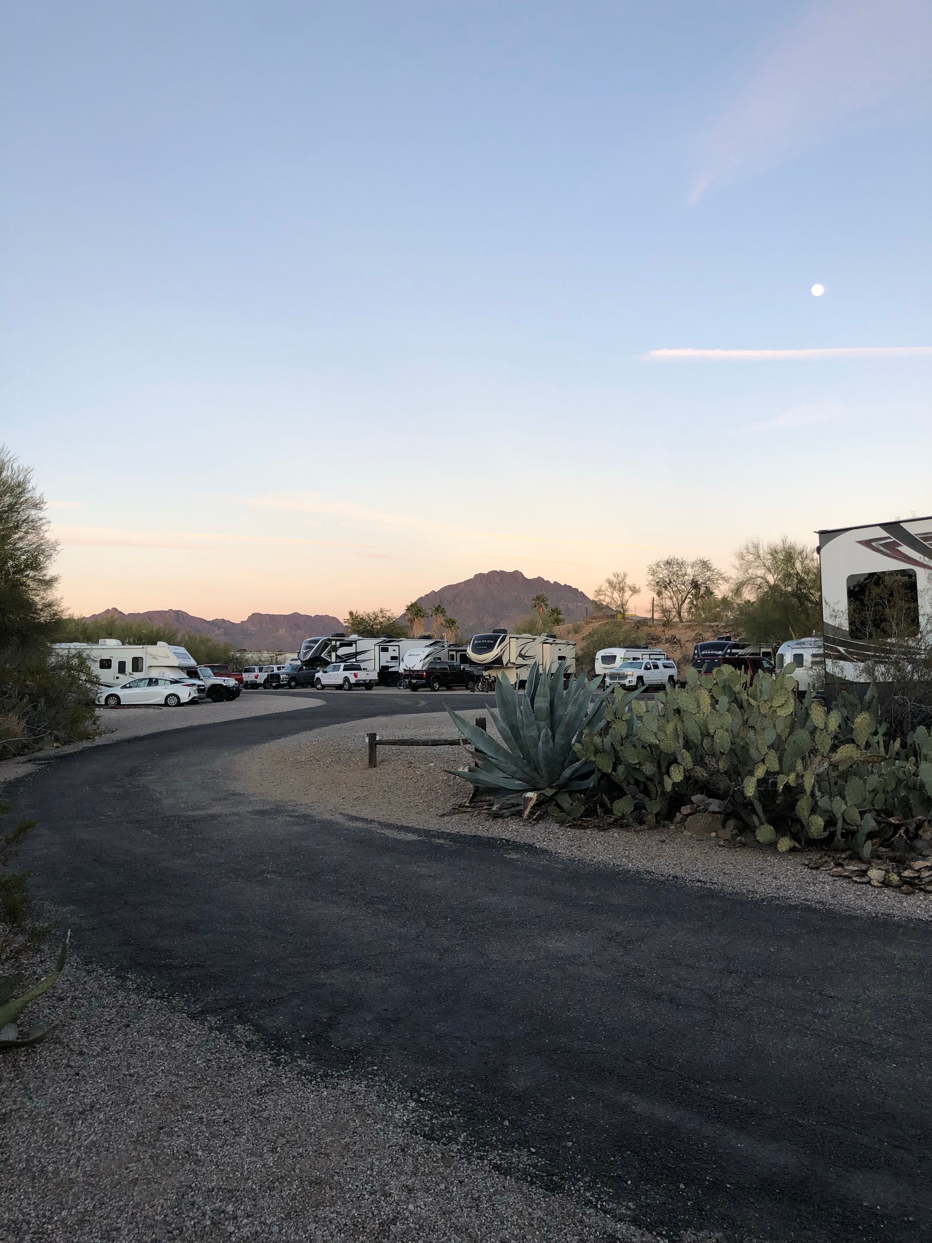 Camper submitted image from Desert Trails RV Park - Adult-only Resort - 5