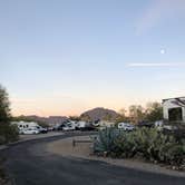 Review photo of Desert Trails RV Park - Adult-only Resort by Lisa C., January 6, 2023