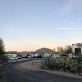 Review photo of Desert Trails RV Park - Adult-only Resort by Lisa C., January 6, 2023