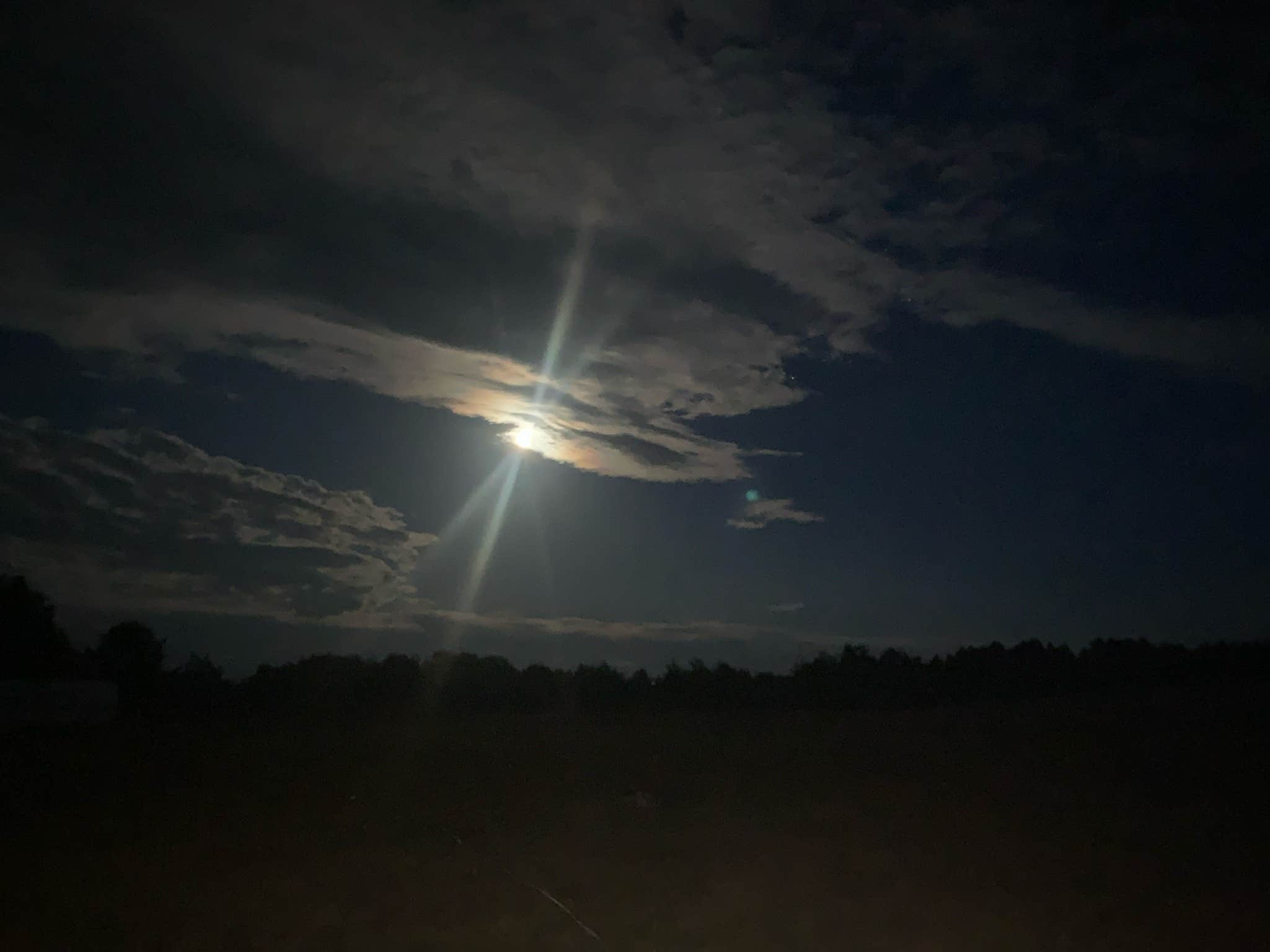 Camper-submitted photo at Lively Acres Campground near Leland, MI