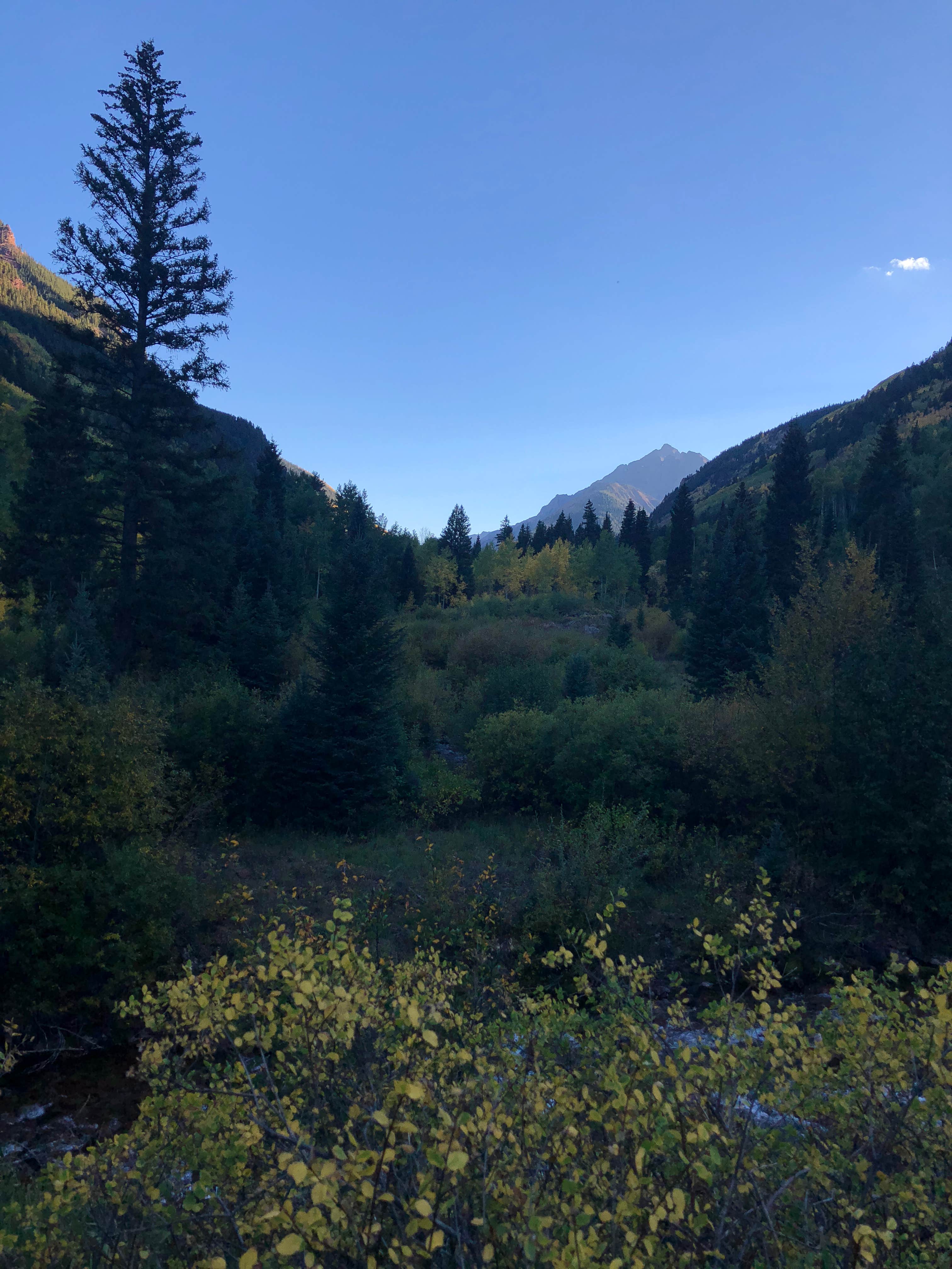 Camper-submitted photo at White River National Forest Silver Bell Campground near Snowmass Village, CO