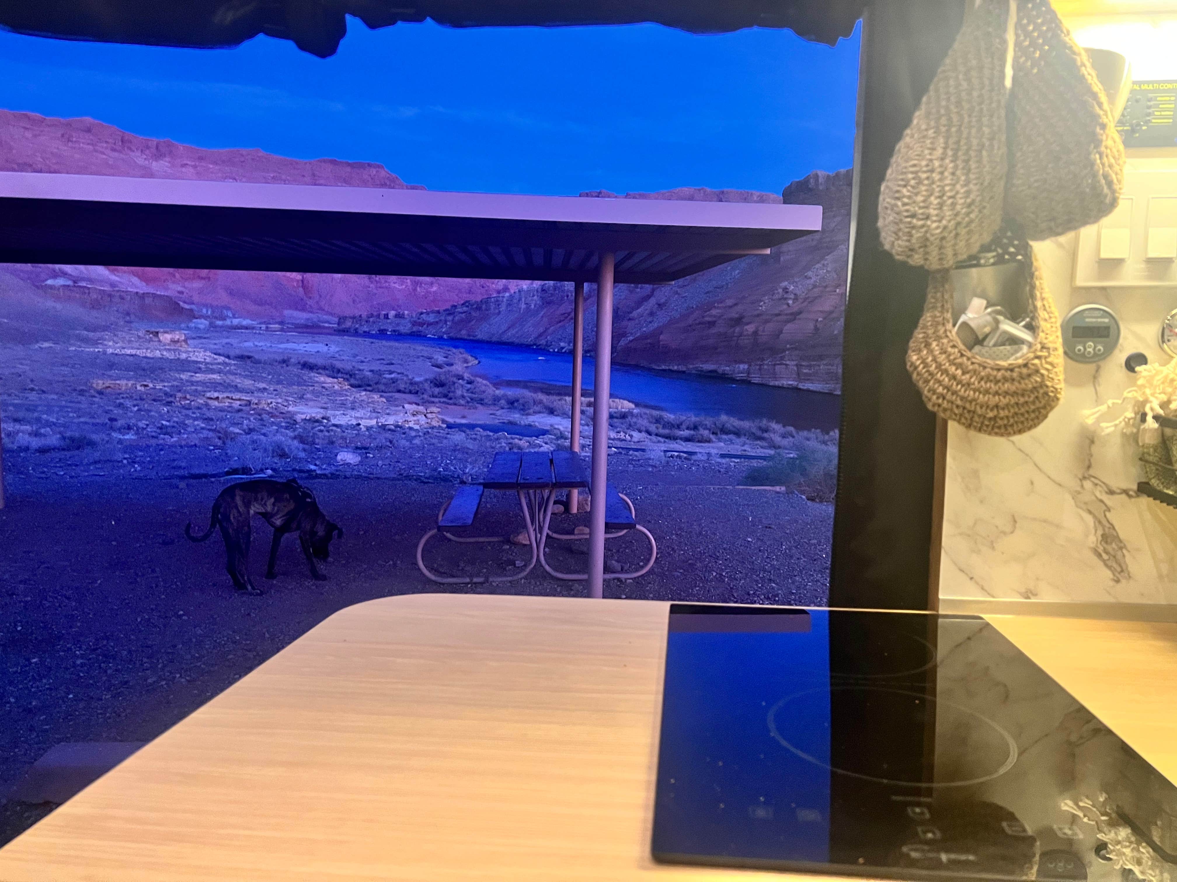 april S.'s photo of camping with pets at Lees Ferry Campground — Glen Canyon National Recreation Area near Page, AZ