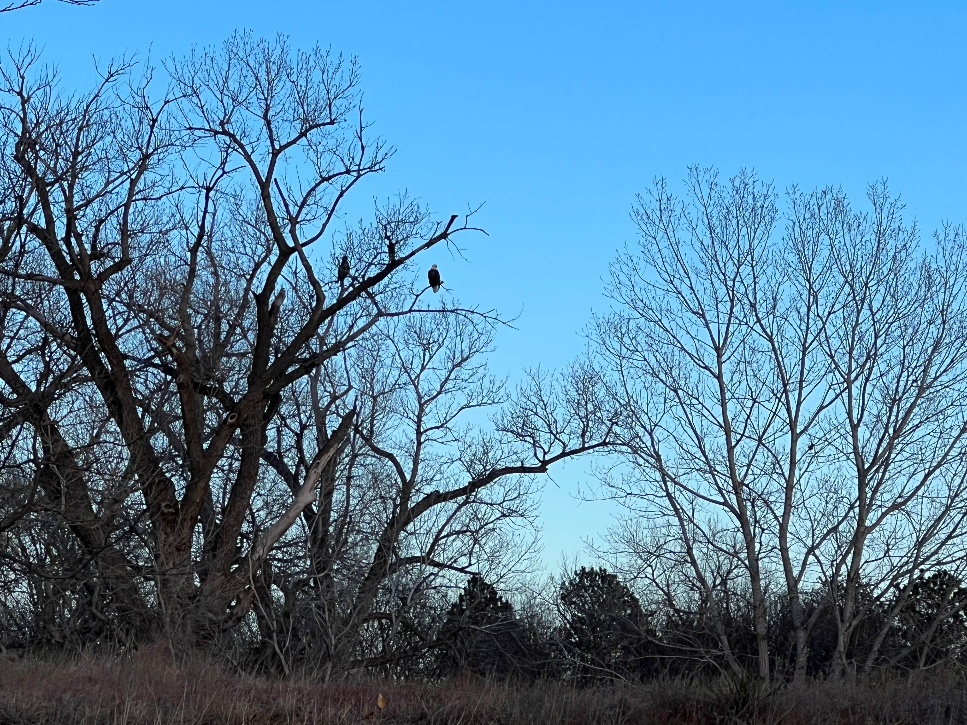Camper-submitted photo at Eagle Point Campground — Kanopolis State Park near Dorrance, KS