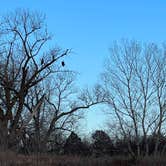 Review photo of Eagle Point Campground — Kanopolis State Park by Holt and Sam L., January 6, 2023