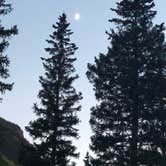 Review photo of White River National Forest Silver Bell Campground by Katie L., September 26, 2018