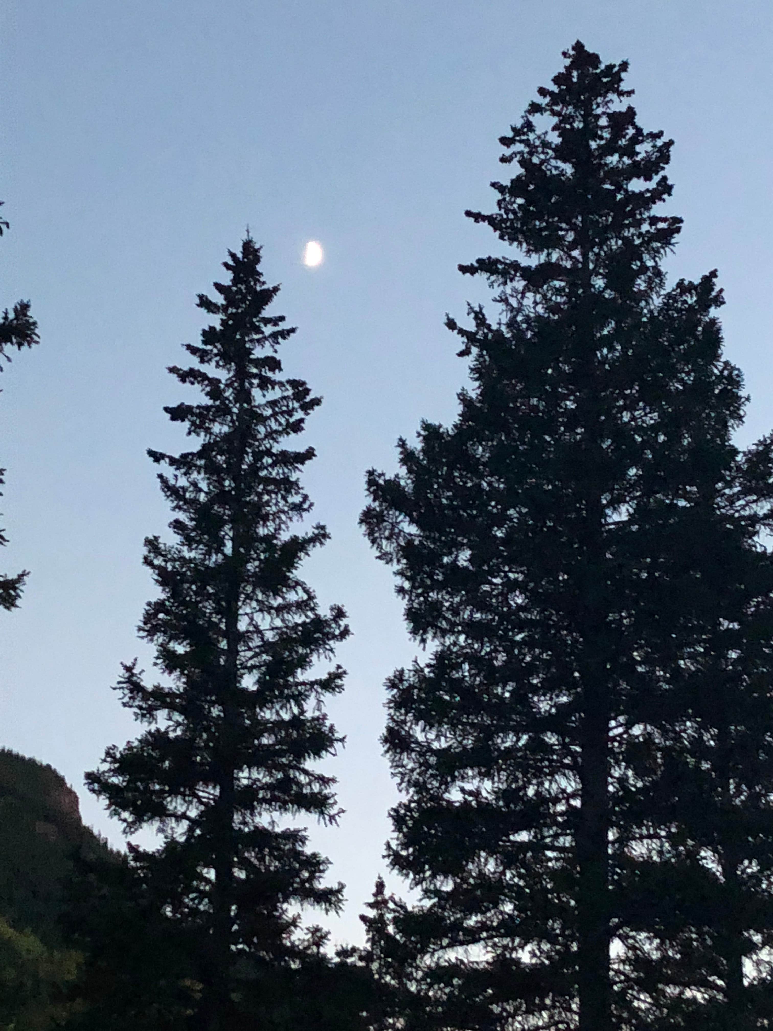 Camper-submitted photo at White River National Forest Silver Bell Campground near Snowmass Village, CO