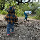 Review photo of LBJ National Grasslands Forest Road 904 Dispersed Camping by Mesha P., October 8, 2022