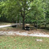 Review photo of Greenbo Lake State Resort Park by Todd C., September 26, 2018