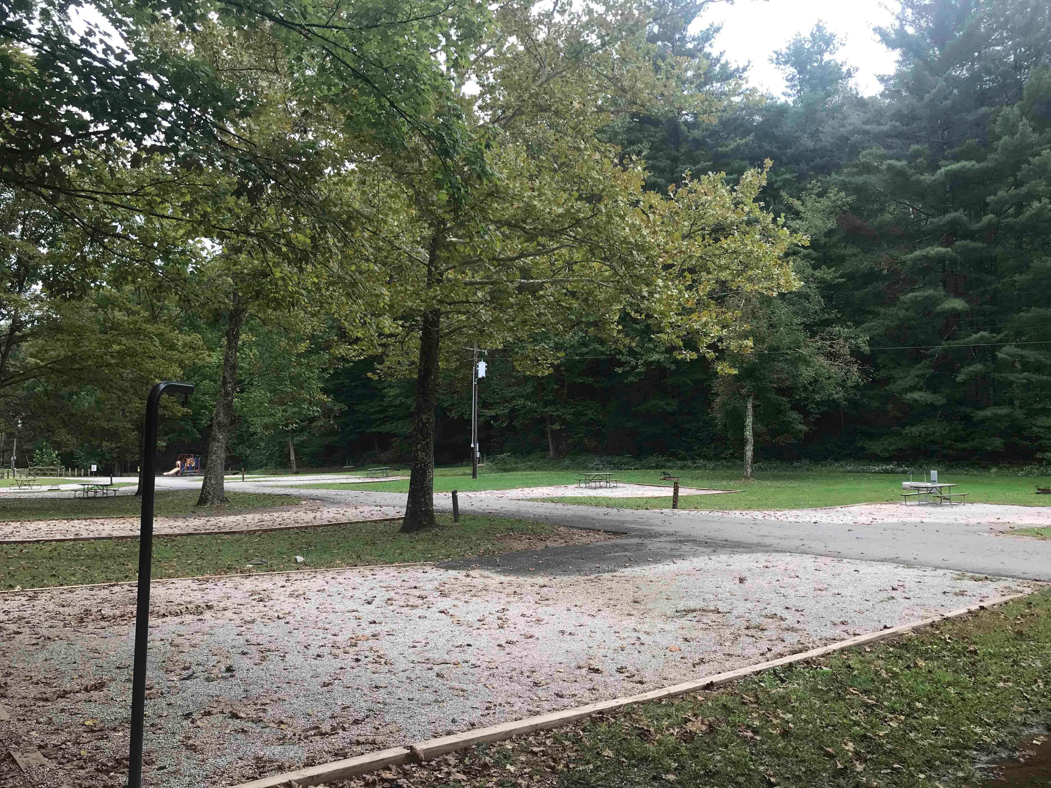 Greenbo Lake State Park Camping The Dyrt