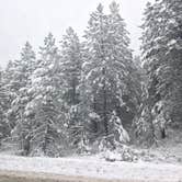 Review photo of Tahoe State Recreation Area Campground by Caroline O., August 12, 2016