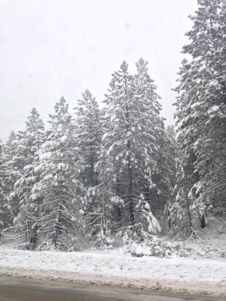Camper submitted image from Tahoe State Recreation Area Campground - 2