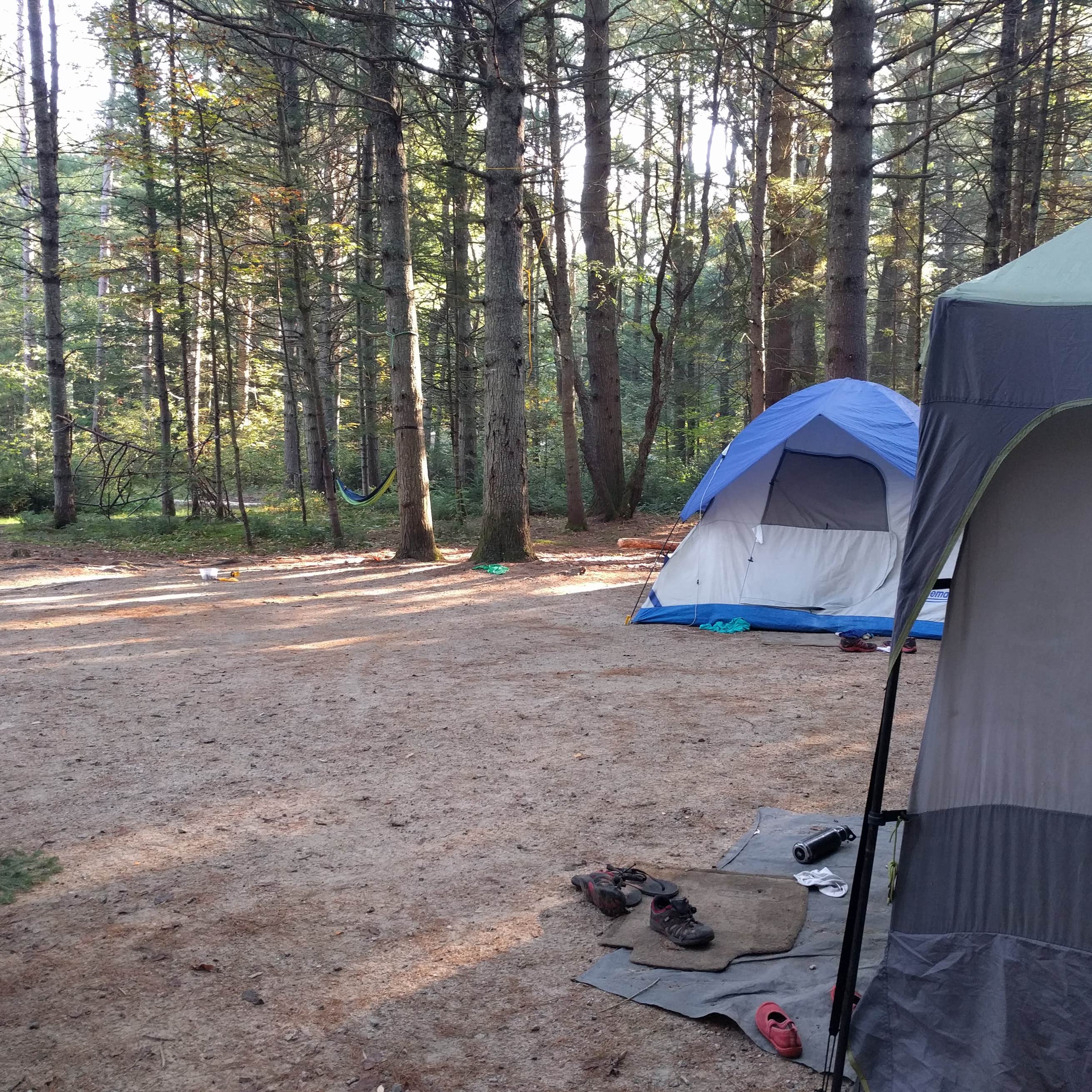 Jigger Johnson Campground Camping | The Dyrt