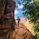 Review photo of South Campground — Zion National Park by Alex B., September 27, 2018