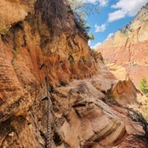 Review photo of South Campground — Zion National Park by Alex B., September 27, 2018