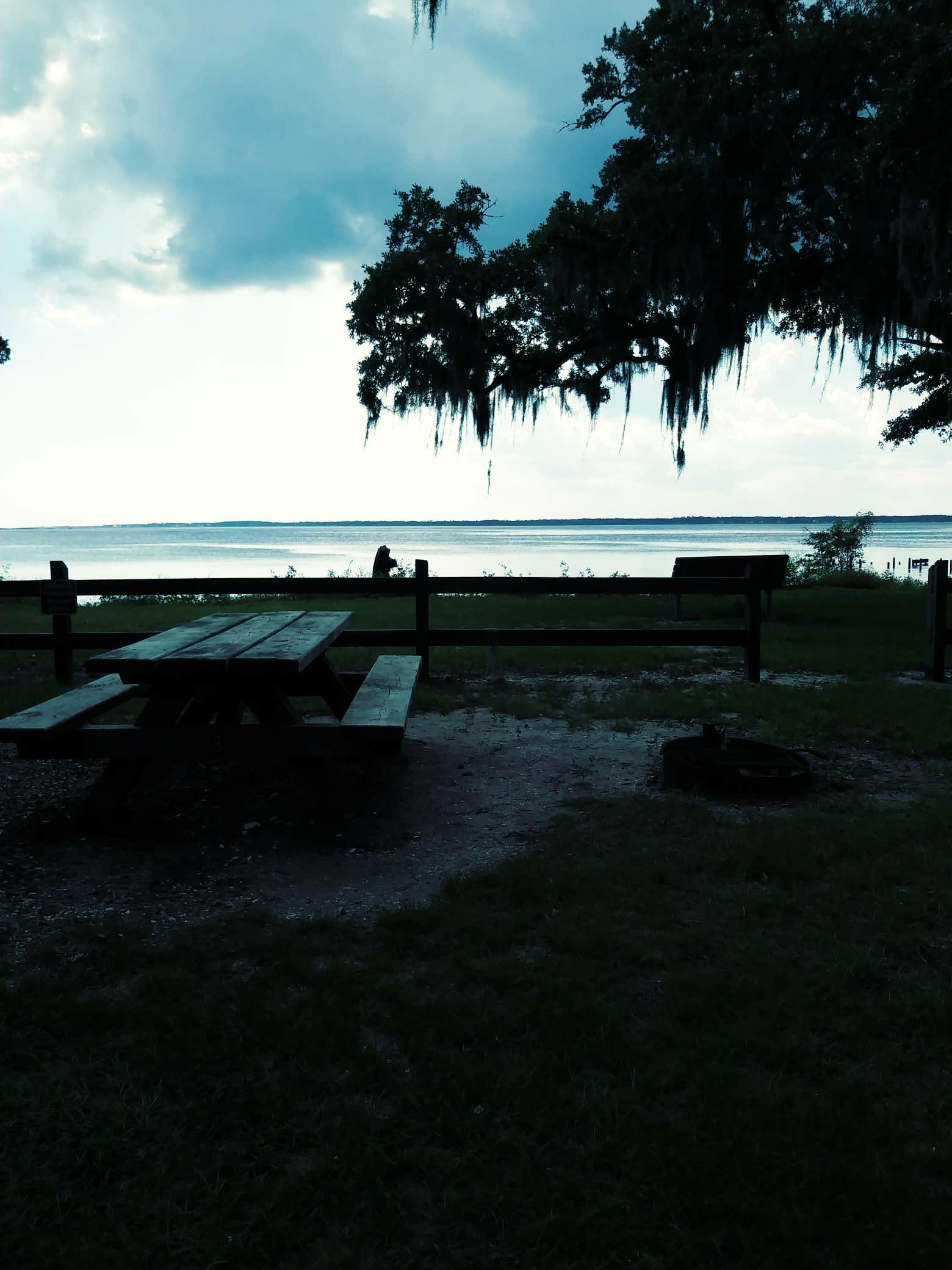 Camper submitted image from Escribano Point WMA Bayside Campground - CLOSED - 4