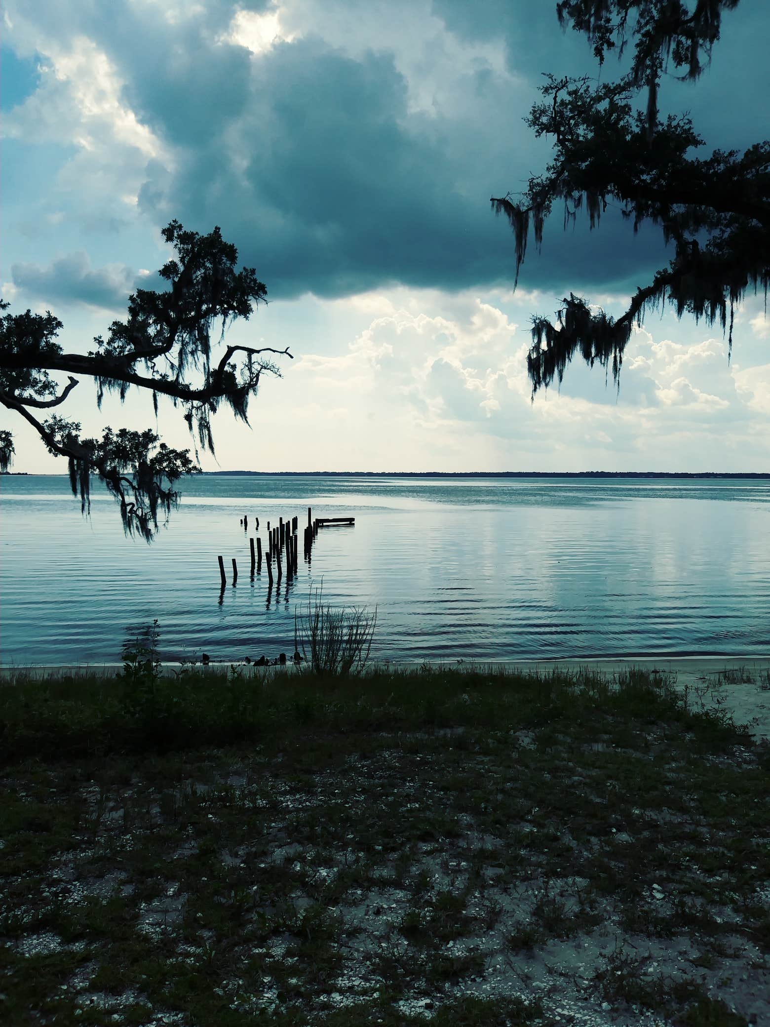 Camper submitted image from Escribano Point WMA Bayside Campground - CLOSED - 2