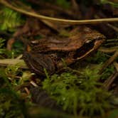 Review photo of Cape Disappointment State Park Campground by David C., April 28, 2015