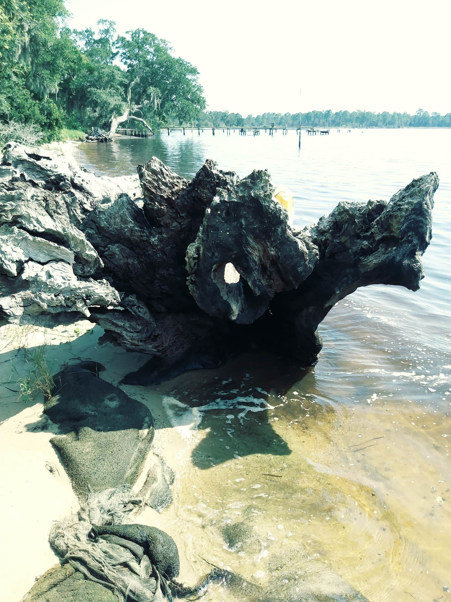 Camper submitted image from Escribano Point WMA Bayside Campground - CLOSED - 3