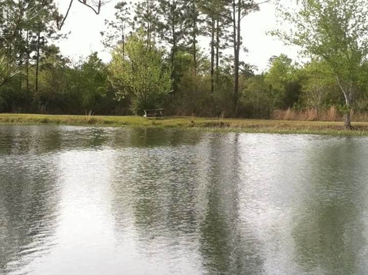 Camping near Splash RV Resort & Waterpark: Lake Kristina Campground, Milton, Florida