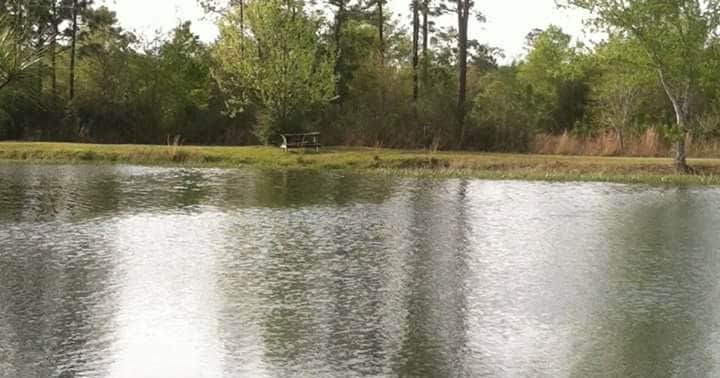 Lake Kristina Campground