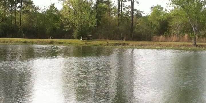 Camper submitted image from Lake Kristina Campground