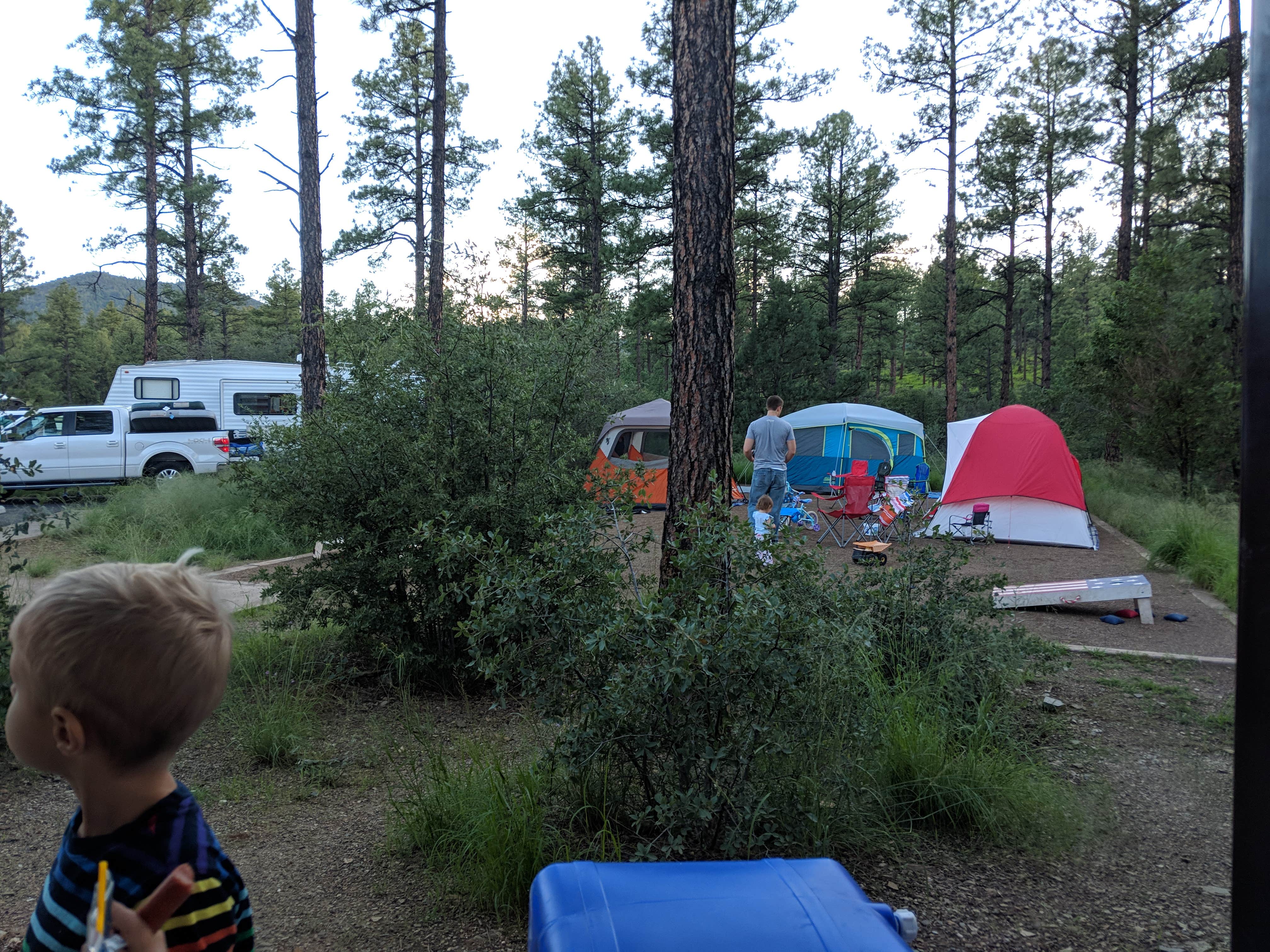Ashley C.'s photo at Eagle Ridge Group Campground near Mayer, AZ