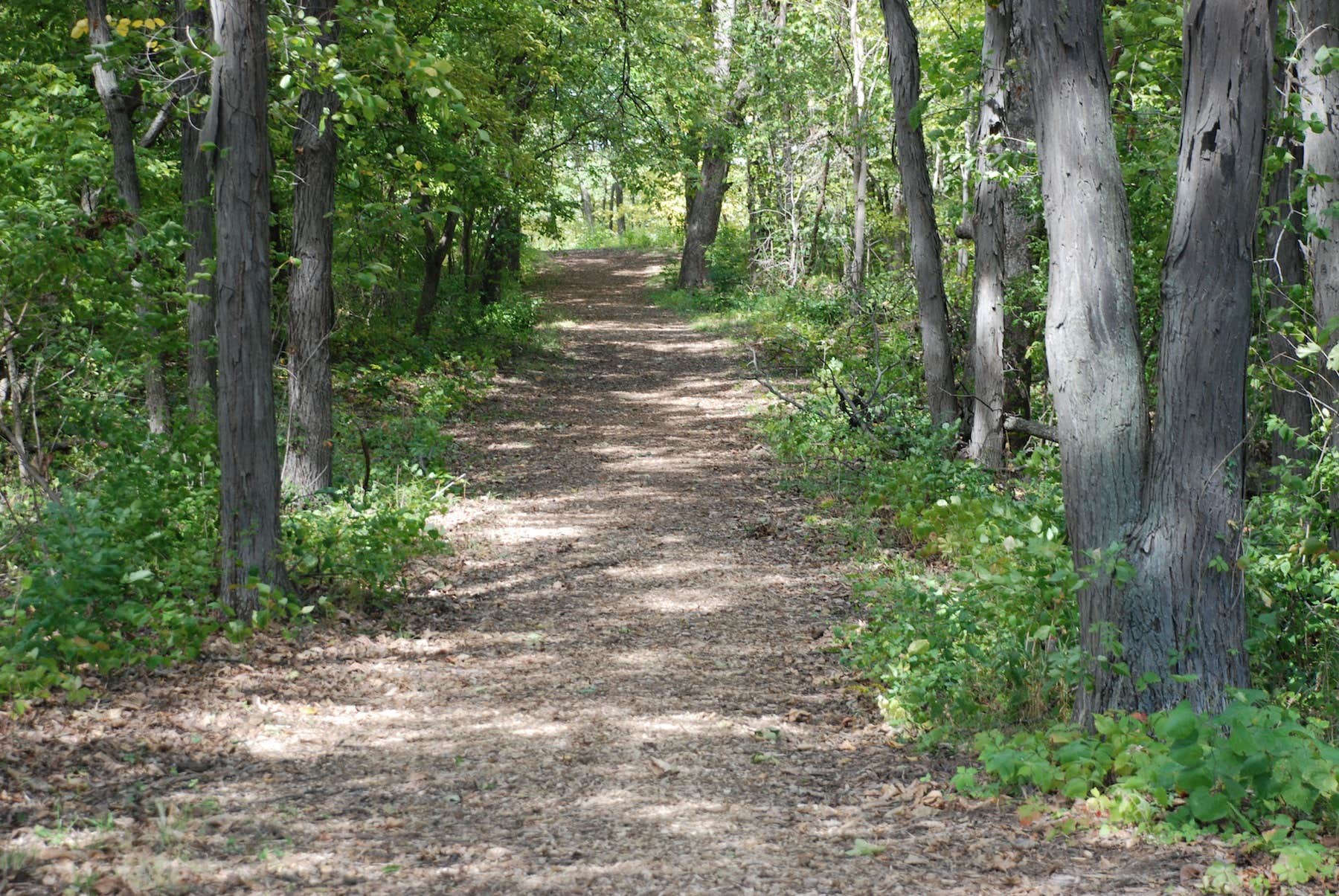 Camper submitted image from Forkland Campground - 3