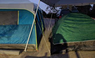 Ashley C.'s photo at Guajome Regional Park near Fallbrook, CA