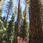 Review photo of Upper Pines Campground — Yosemite National Park by Les R., August 12, 2016