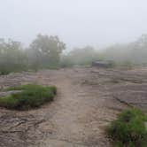 Review photo of Blood Mountain Shelter on the Appalachian Trail by Art S., August 12, 2016