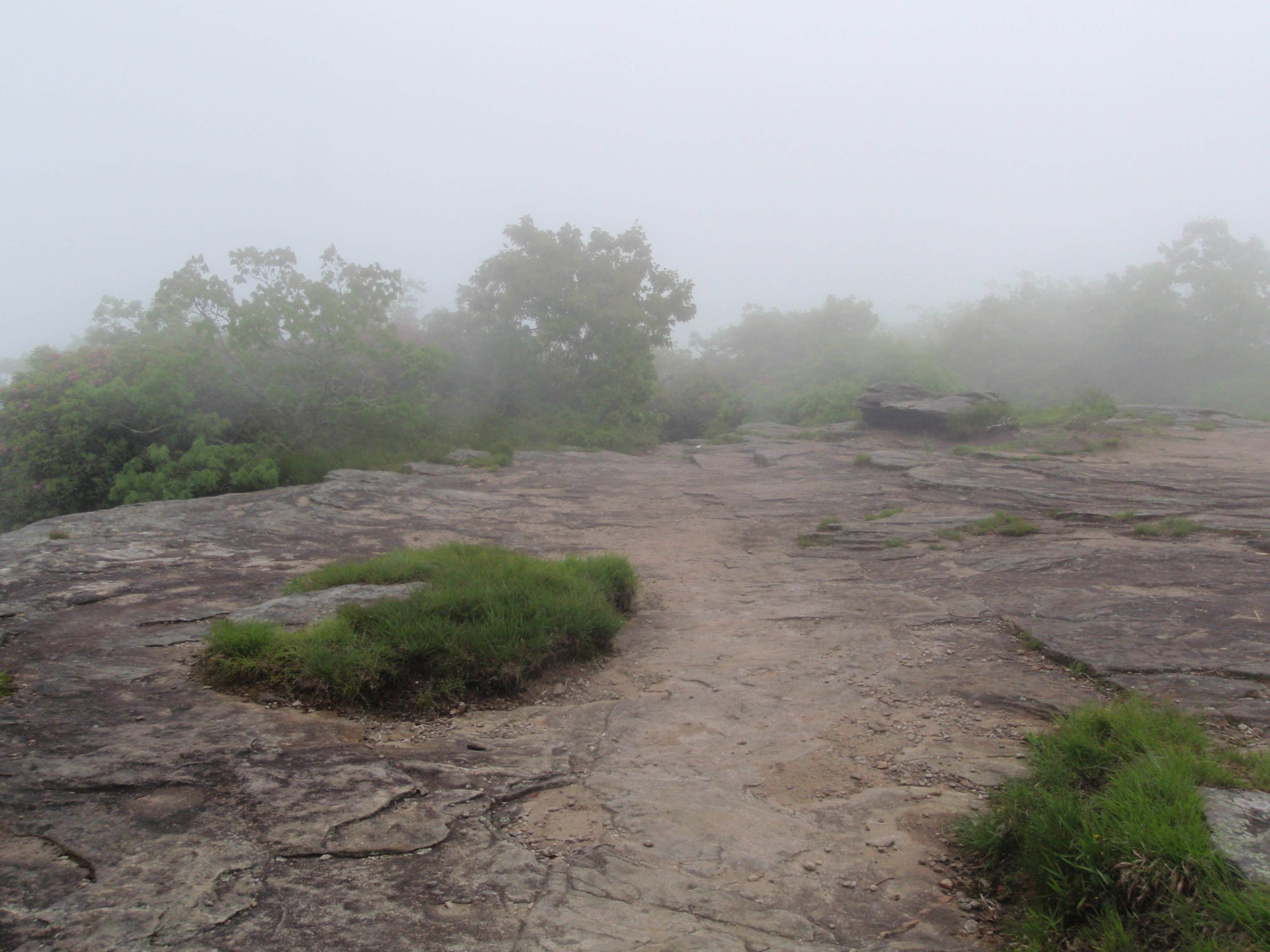 Camper submitted image from Blood Mountain Shelter on the Appalachian Trail - 4
