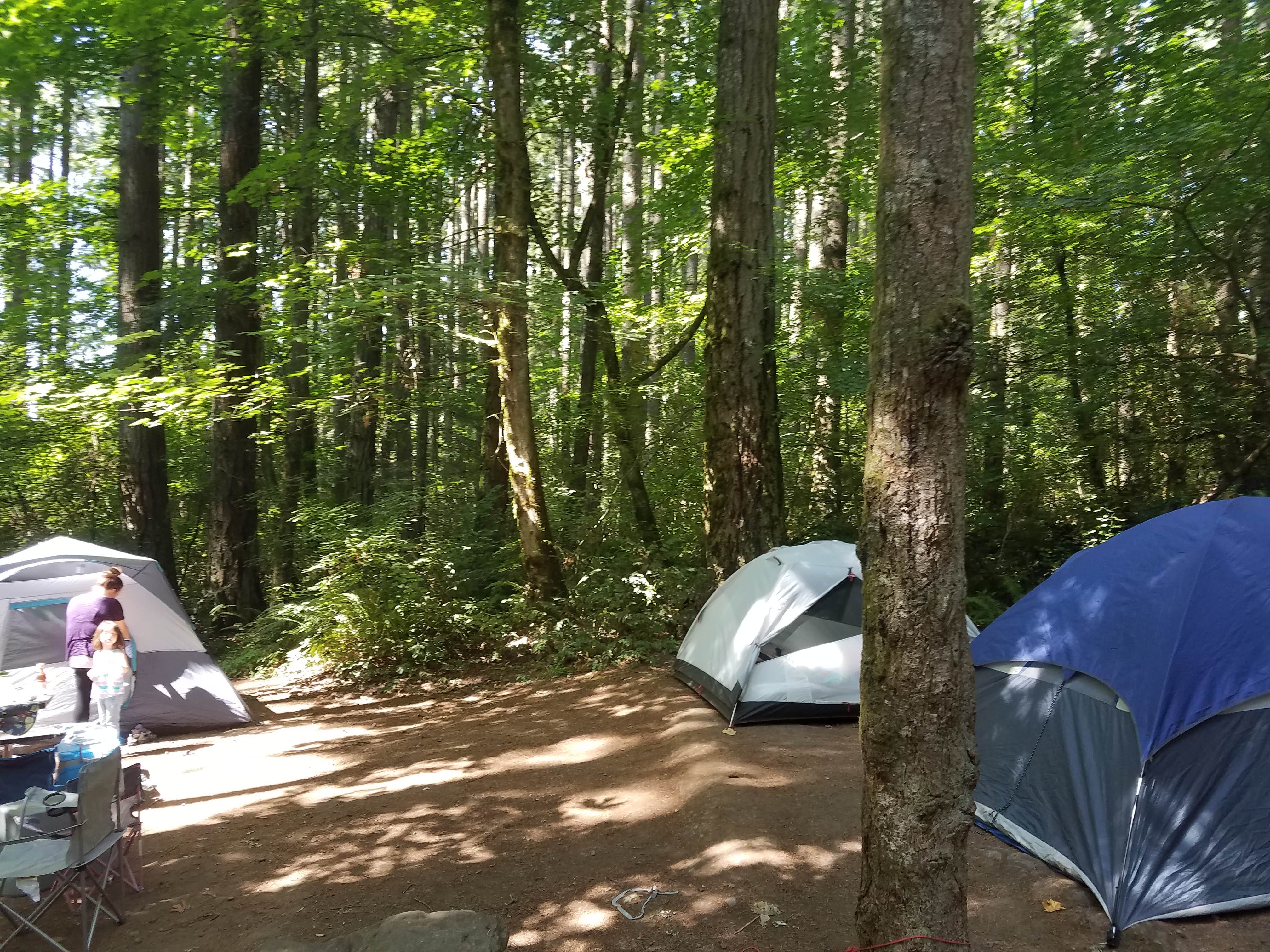Ashley B.'s photo at Seaquest State Park Campground near Clatskanie, OR